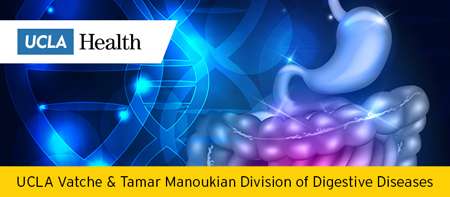 UCLA Vatche & Tamar Manoukian Division of Digestive Services Banner