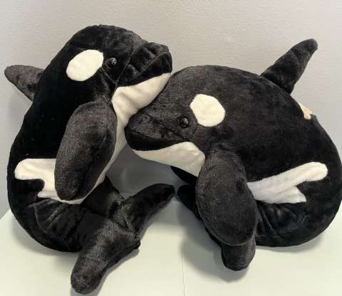 Orcas