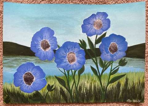 Painted by Liz White