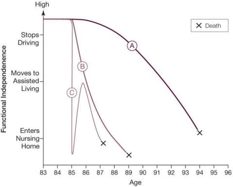 Homeostenosis Line Graph