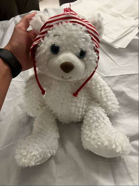  A Special Teddy Bear (December 2021)