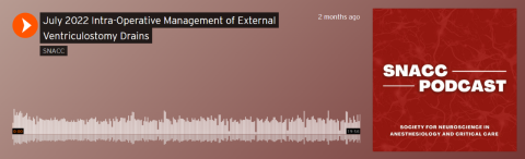 Link to the SNACC Podcast