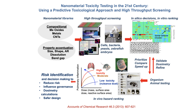 Nanomaterial Toxicity Testing in the 21st Century