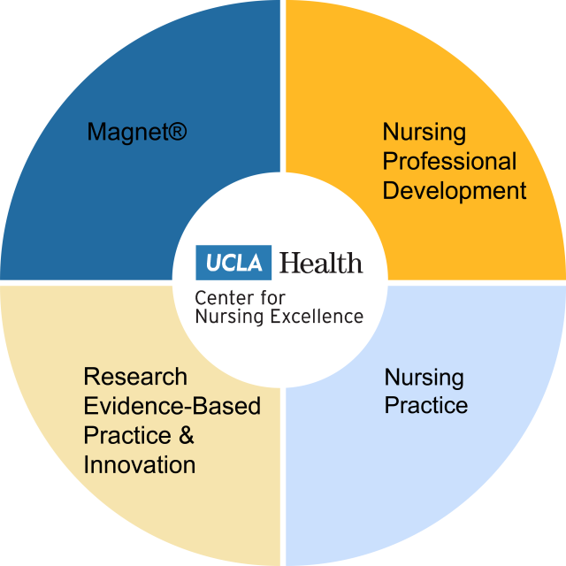 Center for Nursing Excellence Pillars