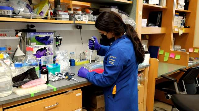 Lab member working in Dr. S. Thomas Carmichael's lab