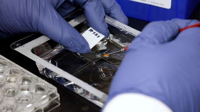 Gloved hands handling labeled sample strips on a metal tray
