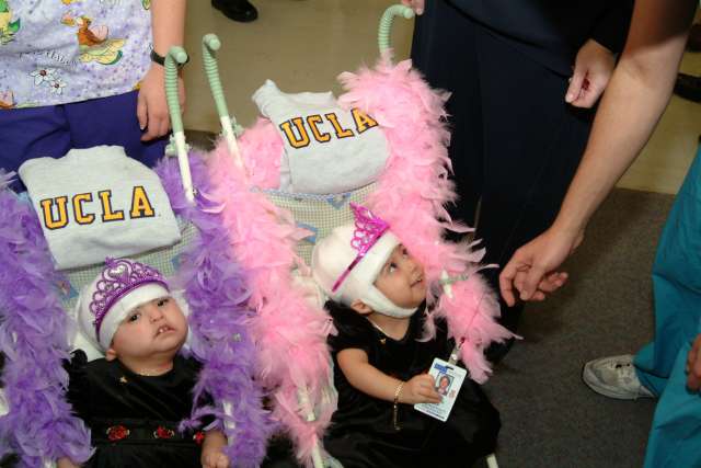 Maria twins in separate strollers