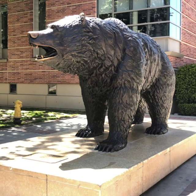 image of the UCLA bruin bear statue