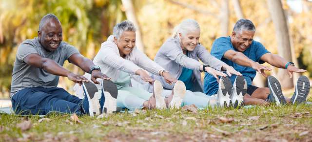 Senior adults stretch in the park.