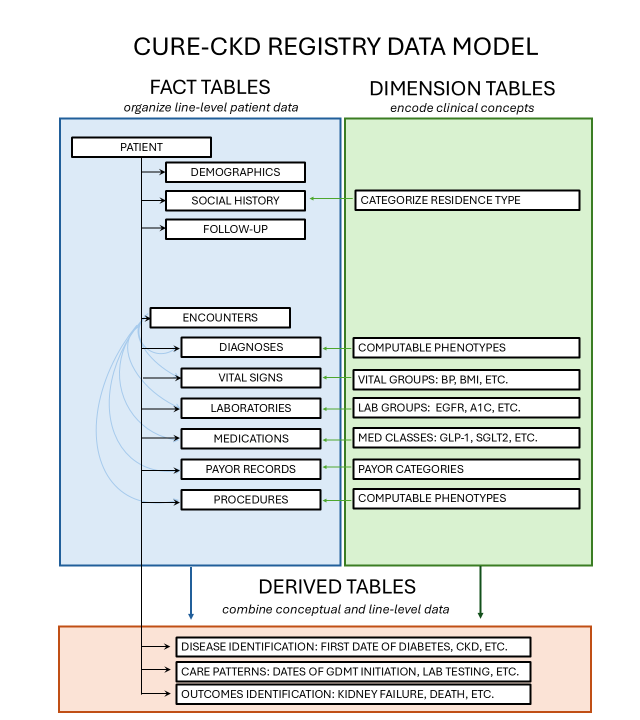 Cure-CKD Registry Data Model