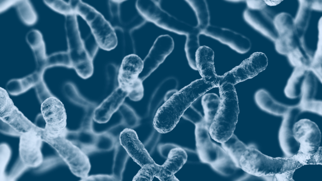 Blue and white chromosomes floating on a full blue background.