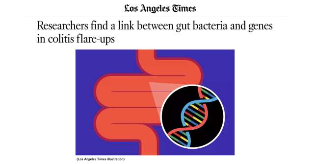 Researchers find a link between gut bacteria and genes in colitis flare-ups