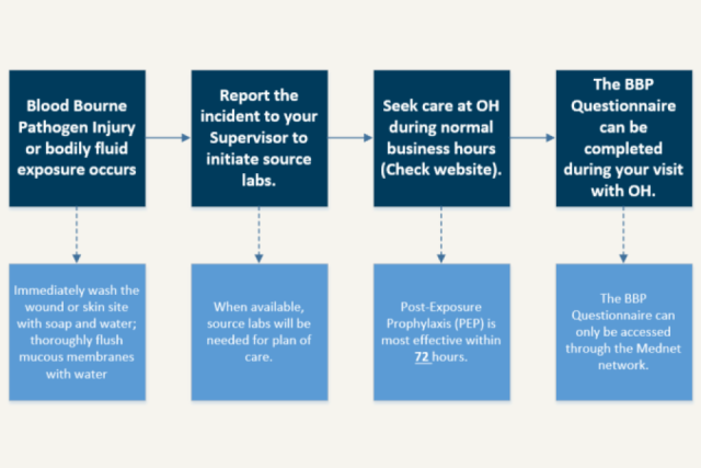 BBP Exposure Workflow