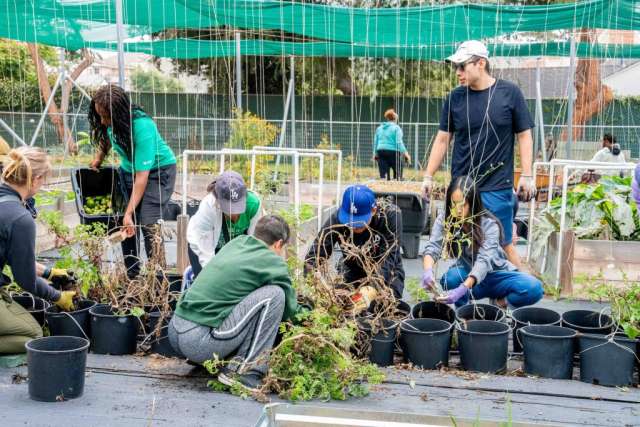 Volunteers potting plants at a community garden under a green canopy