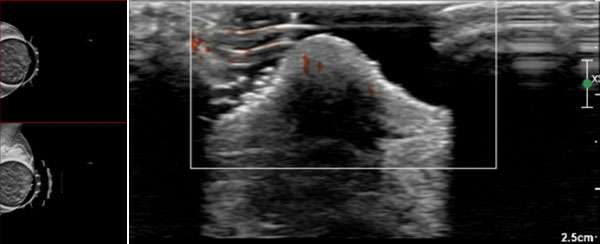 WU: Skin Change Figure 3