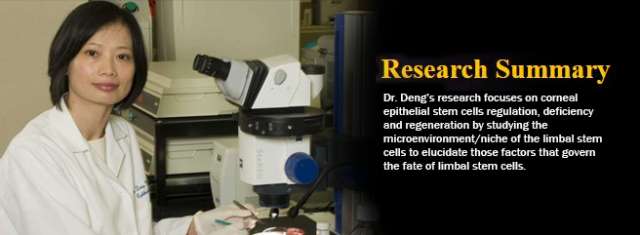 Dr. Deng Lab Banner