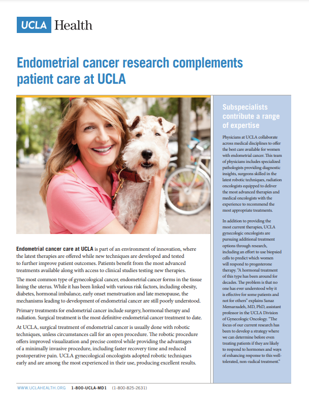 Endometrial Cancer Research