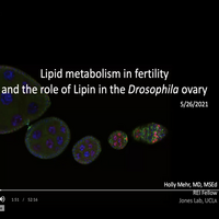 Lipid metabolism Preview