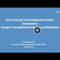 Role of Glucose preview
