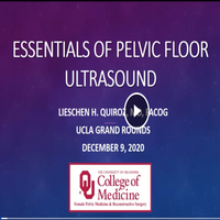 Pelvic Floor Ultrasound video preview