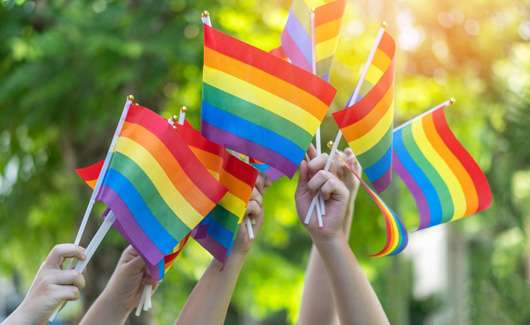People holding up rainbow flags.