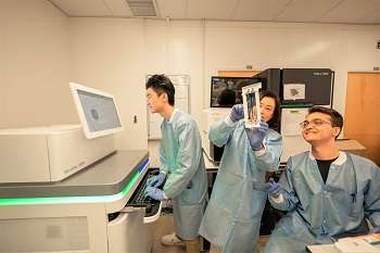 Technology Center for Genomics & Bioinformatics Staff reviewing imaging