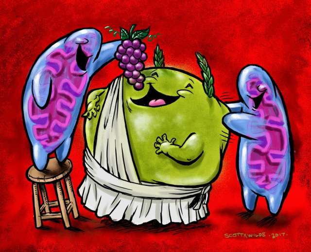 mitochondria