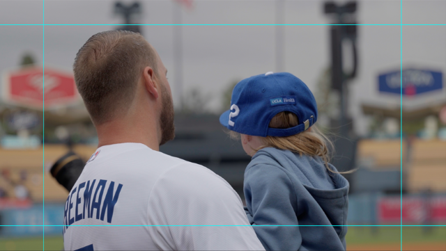 Brand Identity Video Guidelines example