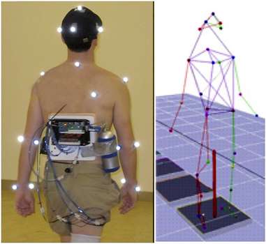 Biomechanical marker placement and corresponding 3-D model in Cortex software