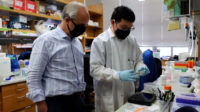 Dr. Daniel Geschwind and lab member