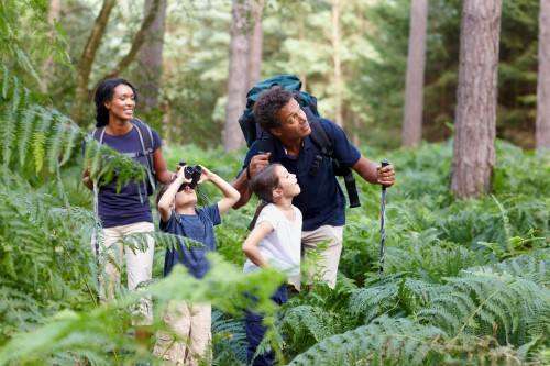 A family explores a lush green forest, enjoying nature together.