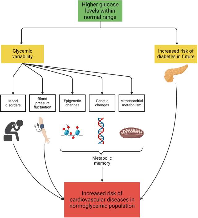 Flowchart illustrating factors leading to increased cardiovascular risk in non-diabetic populations.