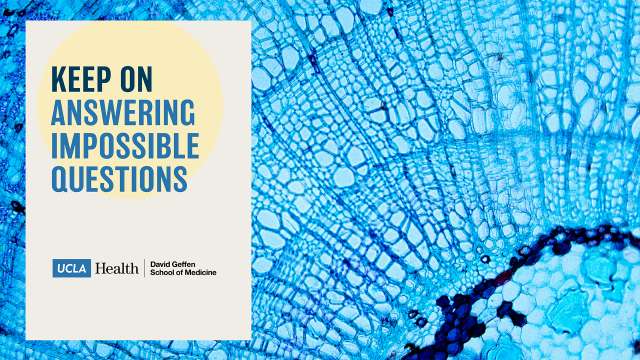 UCLA Health + DGSOM Zoom Background 08