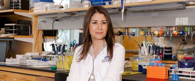 Dr. Sanaz Memarzadeh