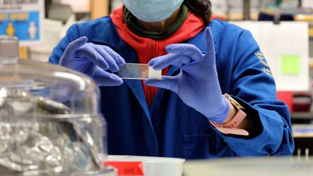 Two hands holding a microscope slide