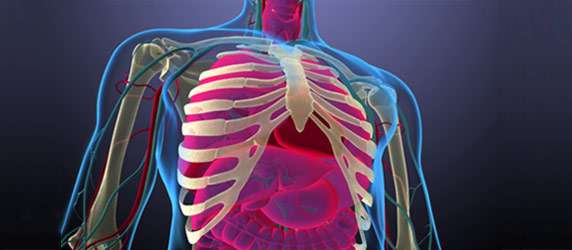 Header - Thoracic Imaging