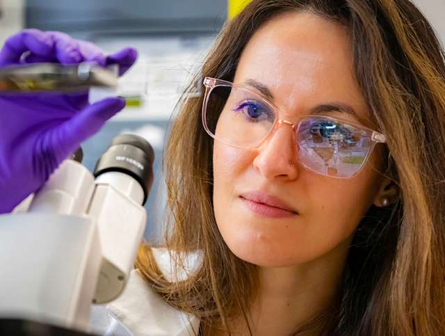 Scientist examining in front of a microscope