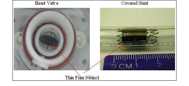 Figure 2 : Picture of thin film Nitinol heart valve (figure left) and thin film Nitinol covered stent (right) developed and built at UCLA.