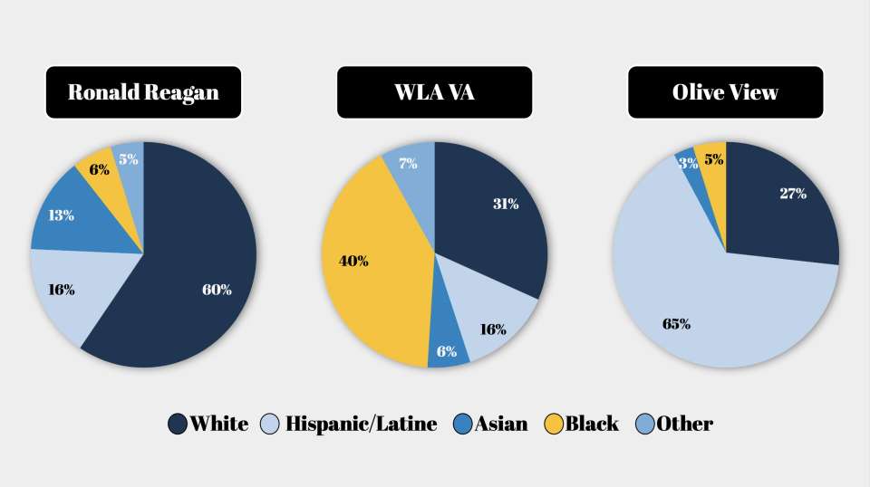 Our Patients Demographics