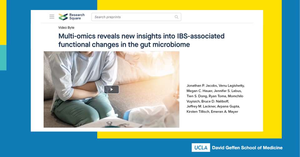 Multi-omnics profiles of the intestinal microbiome in IBS and its bowel habit subtypes