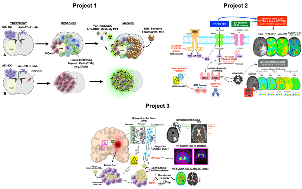 Figures of UCLA SPORE in Brain Cancer Core 3 PDOX and UMAP