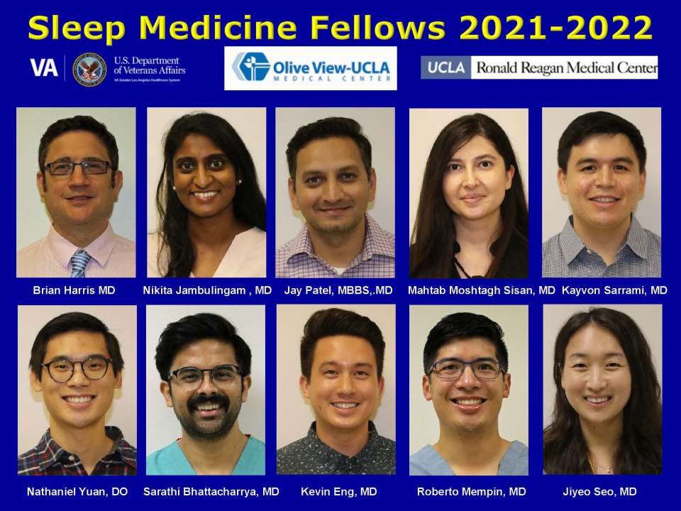 sleep fellows 2021-2022