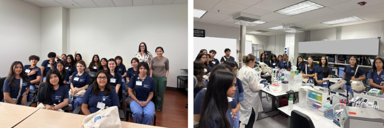 Immunogenetics with the Turner Allied Internship Group
