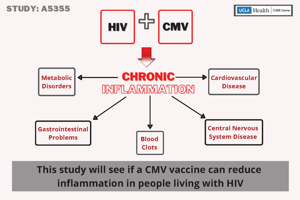 This study will see if a CMV vaccine can reduce inflammation in people living with HIV
