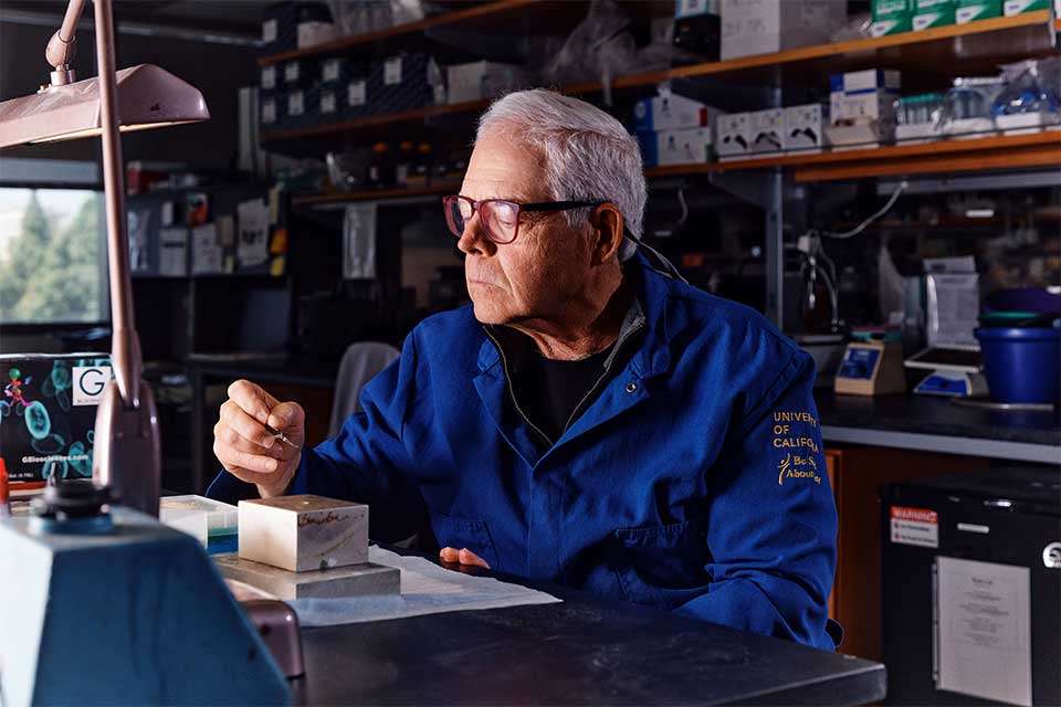 Dr. Rome prepares a grid that will hold a sample of vaults.