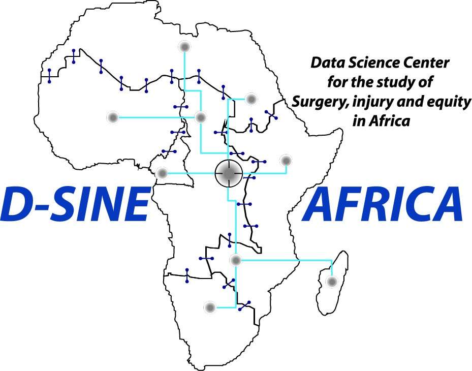 D-SINE Africa Logo