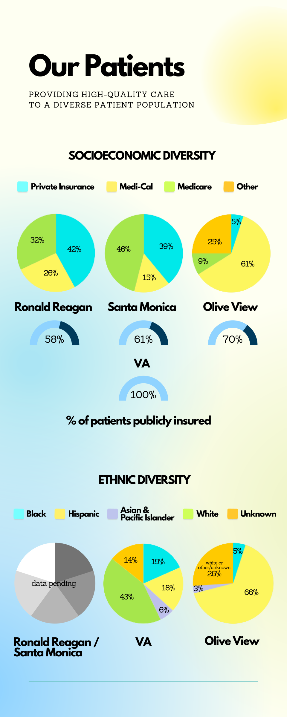 Our Patients - SESEthnic Demographics