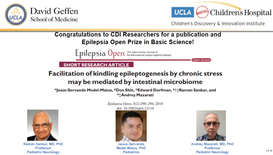 details of publication by Raman Sankar, Jesus Servando & Andre Mazarati - Feb 2019