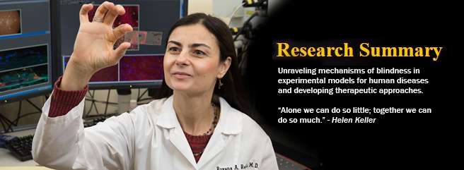 Retina Biochemistry & Disease Modeling Lab