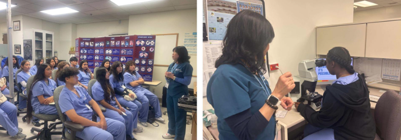 Cytology with the Turner Allied Internship Group